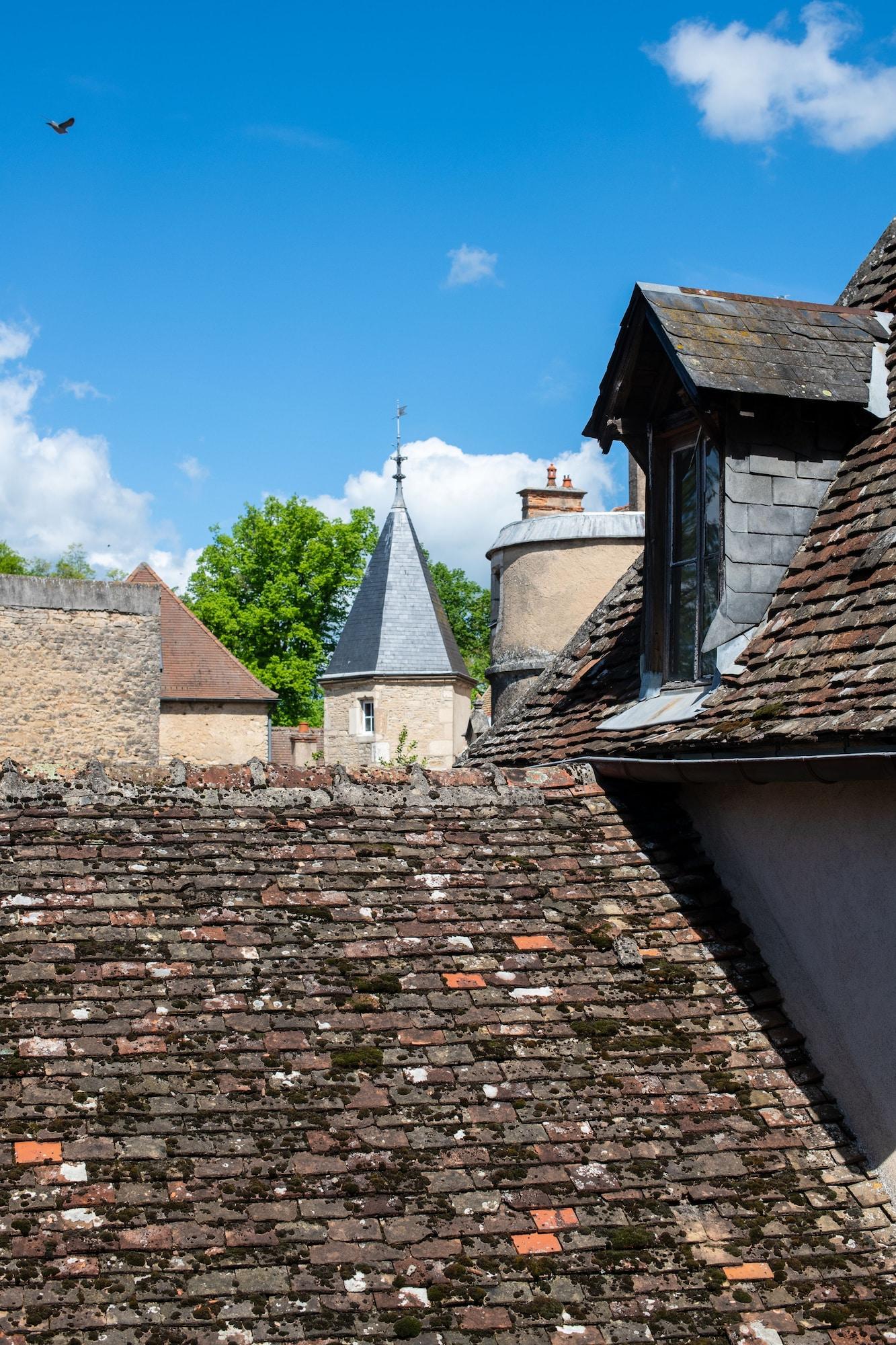 Hotel Abbaye De Maizieres Beaune  Zewnętrze zdjęcie